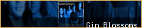 Gin Blossoms